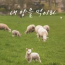 푸른초장 이미지