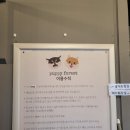 퍼피포레스트 이미지