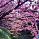 완산-24 이미지