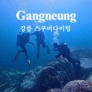 동해교육지원청 | 강릉 스킨 스쿠버 다이빙 경포 다이브리조트 오픈워터 취득 후기