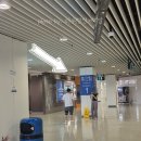 터미널관광나이트 | 마카오 야경버스투어 2층버스 나이트버스 후기 6살 아이랑