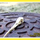 (주)바로상운 이미지