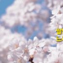 고향의봄 이미지