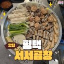 마약곱창 - 이천시 창전동 | 비 오는 날 완벽했던 비전동데이트, 평택곱창 원탑 서서곱창 한우모둠 후기