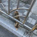 [부산 영도 에어비앤비] 청학소담 큰채