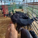 거산농장 이미지