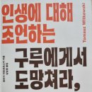 인생에 대해 조언하는 구루에게서 도망쳐라 - 토마시 비트코프스 지음 이미지