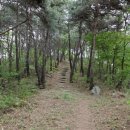 풍산읍 체육공원 이미지