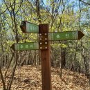 대대3리 이미지