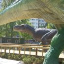 중계근린공원 이미지