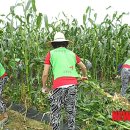 금호건설(주) 이미지