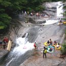 제337차 경남밀양 능동산 쇠점골 정기산행[2025년8월9일6시] 이미지