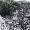 77수족관 이미지