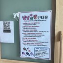 냥냥이세상 티스토리