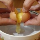 유나네 자연숲 농장 이미지