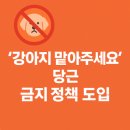 펫시터 사기 2차 피해 막는다…당근 중고거래 새 정책 공개