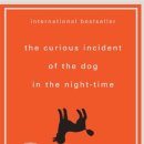 [중급] 성인영어 이미지