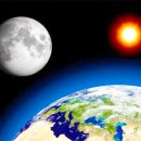 THE 형제 이미지