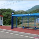 교곡1리 Daum카페