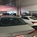 베벌리 도그 | [아이랑 미서부여행 Day.6] 엘에이여행후기,미국여행,산타모니카,캘리포니아해변,캘리포니아선셋,산타...
