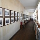 자연사랑 미술관 이미지