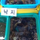 해숙이네 이미지