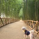 대실근린공원 이미지