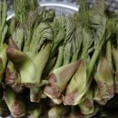 나오리농장 이미지