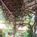 행복의 공간 이미지