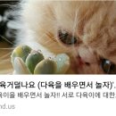 궁모닝유통 이미지