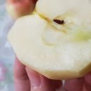 선홍농장 이미지