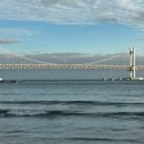 이박사생고기 이미지