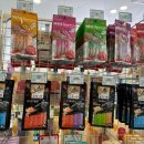 신세개 | 전주애견호텔 다양한 애견 용품 신세개백화점 다녀온 후기