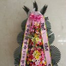 송은 이미지