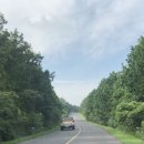 보리떡식당 이미지