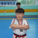 한국체대 다온태권도 이미지