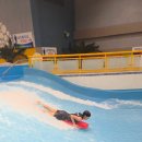 제일경희태권도 이미지