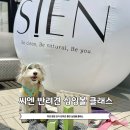 씨엔스토어 | 마포 합정 반려견 동반 요가 싱잉볼 클래스 씨엔