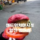 샌드위치 마시쏘 이미지