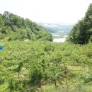 후레쉬팩토리 이미지