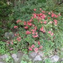 서당공원 화장실 이미지