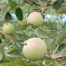 고무신농원 이미지