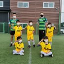 토브스포츠