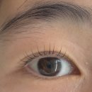 토탈랩솔루션 | 엄궁동 속눈썹펍 잘하는, 아이블리뷰티랩(주차O)