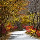 토지면 연곡사 입구 이미지
