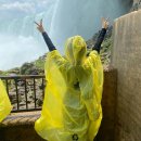 애플비 발전소 이미지