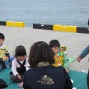 마검포항 이미지