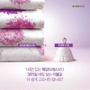 이브자리코디센부산
