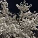 계동치킨 | [광주/서구] 상무지구 치킨 맛집 🍗 계동치킨 내돈내산 후기