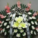 서귀포의료원장례식장 이미지